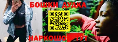 дурь Сланцы