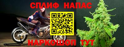 дурь Сланцы