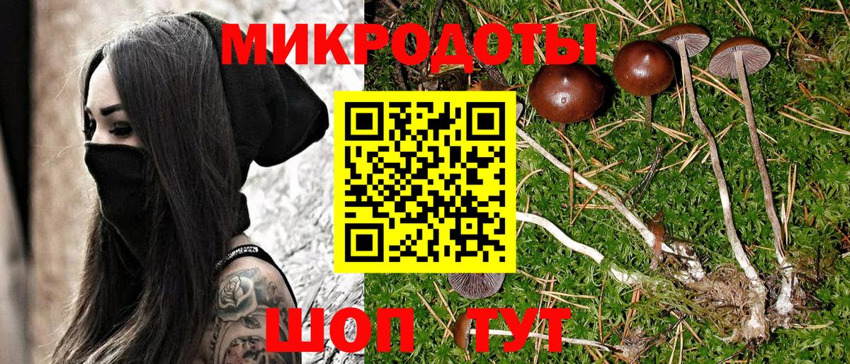 Галлюциногенные грибы ЛСД  Вход с VPN  Галлюциногенные грибы Psilocybine cubensis  Нижнеудинск 