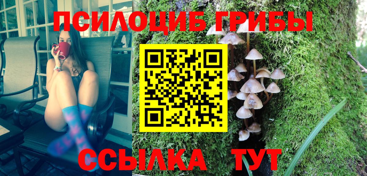 Псилоцибиновые грибы мухоморы Нижнеудинск